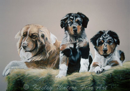 Aussies by Keeley Waters